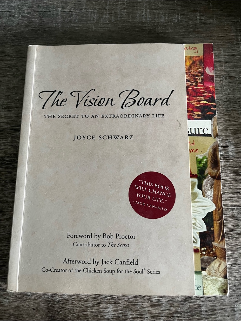The Vision Board by Joyce Schwarz